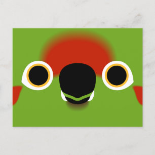 Postal Festiva La cara de un macaute de frente rojo