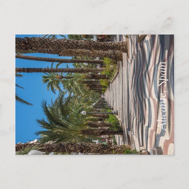 Postal Festiva La Explanada, Alicante, España (Anverso)