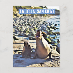 Postal Festiva La Jolla Seals