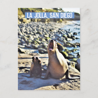 Postal Festiva La Jolla Seals
