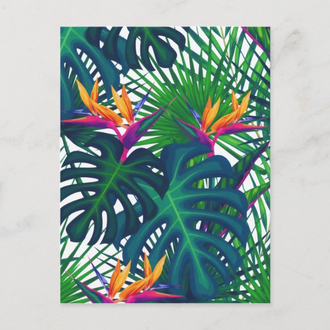 Postal Festiva La jungla de la vegetación tropical deja el paraís (Anverso)