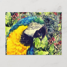 Postal Festiva La jungla y el macao amarillo azul