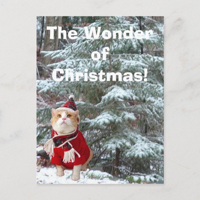 Postal Festiva ¡La maravilla del navidad! (Anverso)