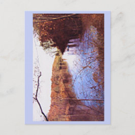 POSTAL FESTIVA LA RETRATA DE SCOTTY