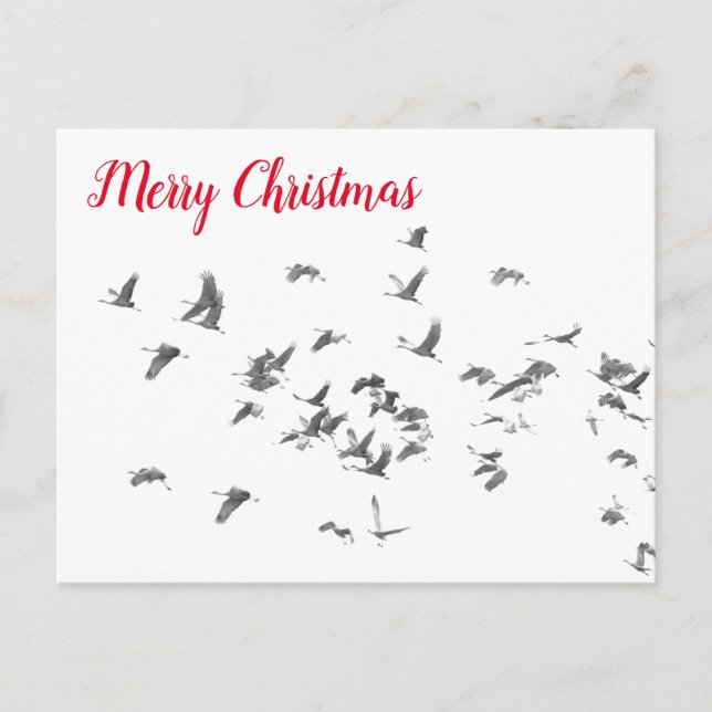 Postal Festiva La sencillez de Sandhills (Anverso)