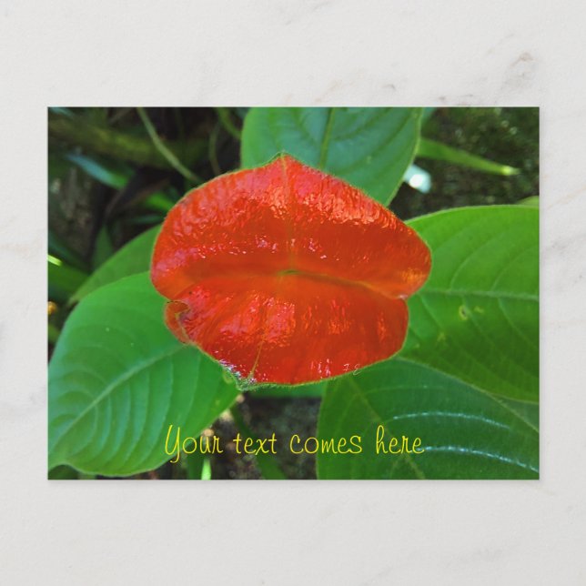 Postal Festiva labios rojos (Anverso)