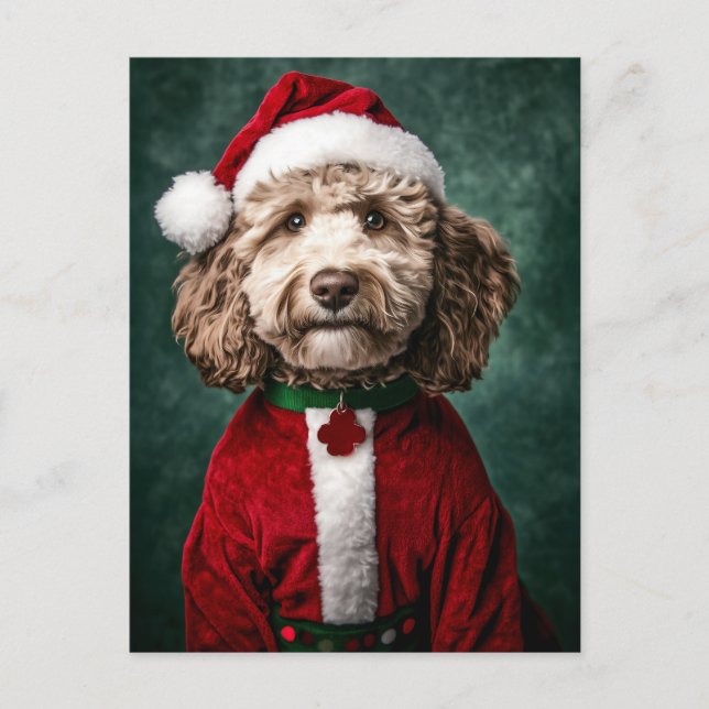 Postal Festiva Labradoodle en traje de Navidades festivos (Anverso)