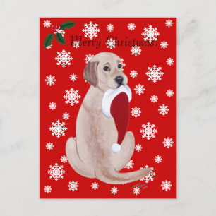 Postal Festiva Labrador amarillo con Copo de nieve de Sombrero Sa