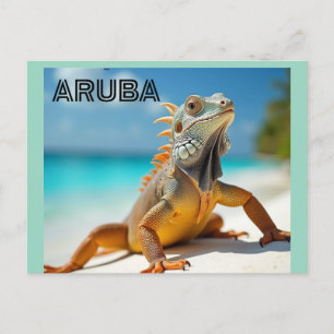 Postal Festiva lagarto disfrutando la playa en aruba