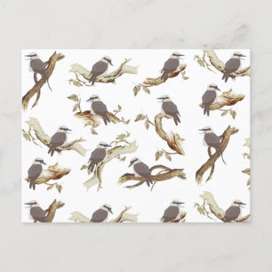 Postal Festiva Laughing Kookaburra Australian Bird Eucalyptus