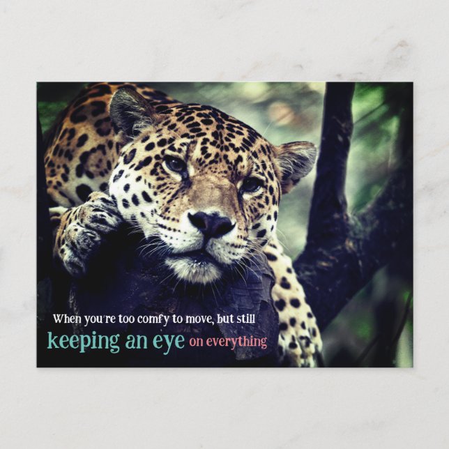 Postal Festiva Lazy jaguar en foto de árbol (Anverso)