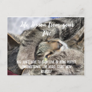 Postal Festiva Lección de vida de su Mascota Motivational