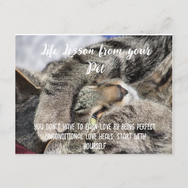 Postal Festiva Lección de vida de su Mascota Motivational (Anverso)