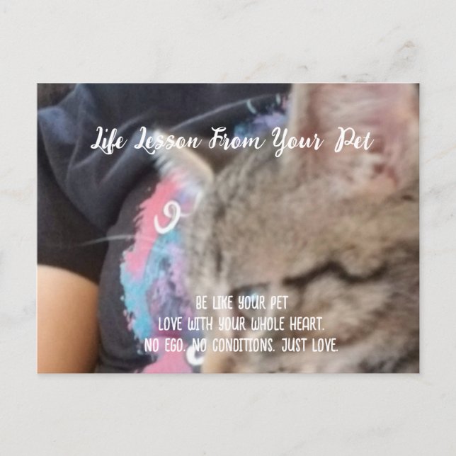 Postal Festiva Lección incondicional de amor a la vida del Mascot (Anverso)