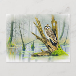 Postal Festiva Lechuza de orejas cortas sobre cubos de árbol