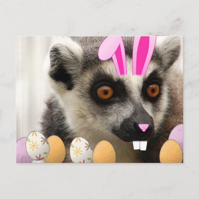 Postal Festiva Lemur de Pascua (Anverso)