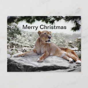 Postal Festiva León en los Navidades
