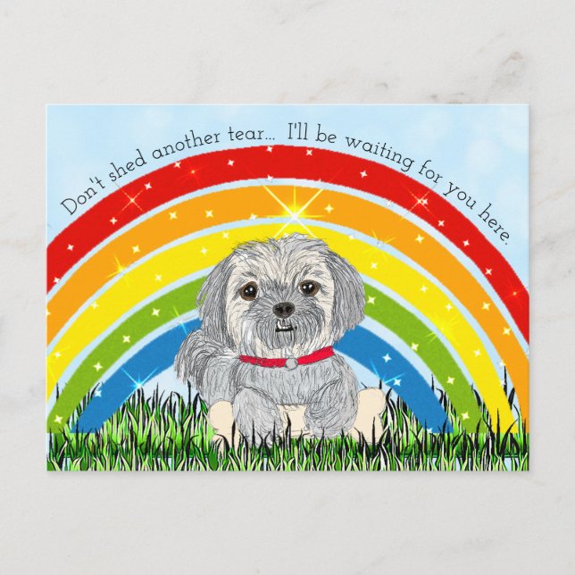 Postal Festiva Lo siento por tus Loos, Monumento al Perro (Anverso)