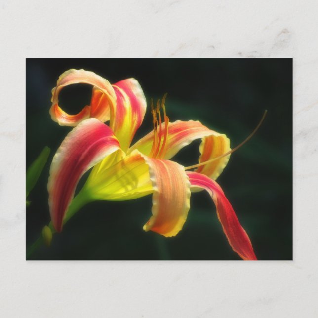 Postal Festiva Los días de Santa María (Anverso)