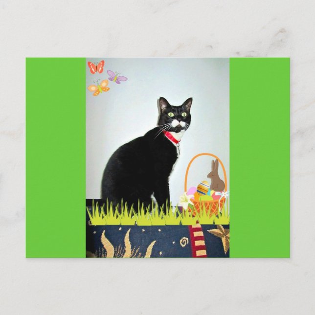 Postal Festiva Lucy de Easter (Anverso)