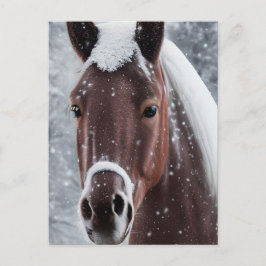 Postal Festiva Luminosa mirada de vidrio suave para caballo