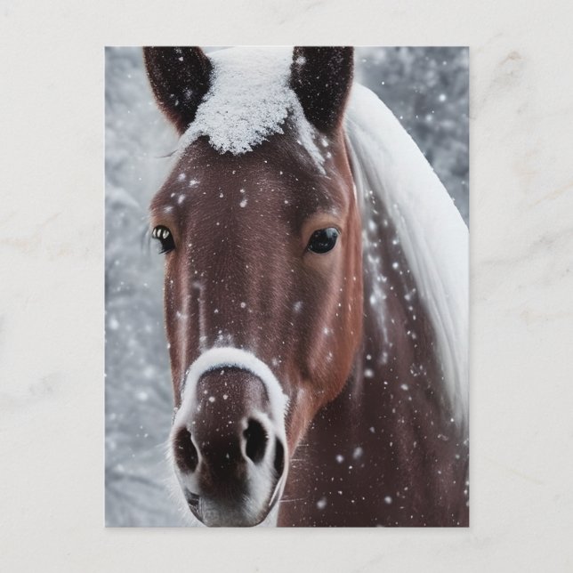Postal Festiva Luminosa mirada de vidrio suave para caballo (Anverso)