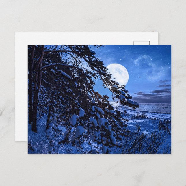 Postal Festiva Luna sobre un árbol de abetos nevado y costa marin (Anverso / Reverso)