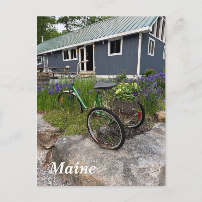 Postal Festiva Madera trasera de Quaint Maine (Anverso)
