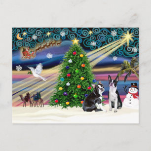 Postal Festiva Magia de Navidad-Boston Terrier (2)
