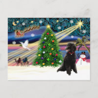 Magia de Navidad-Caniche-Estándar-negro
