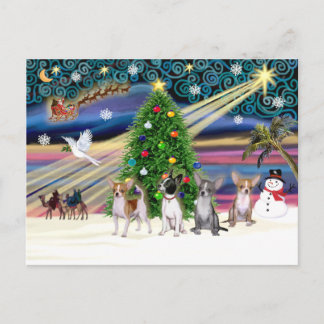 Postal Festiva Magia de Navidad-Chihuahuas (cuatro)