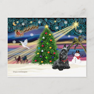 Postal Festiva MAGIA DE NAVIDAD-Scottie2B
