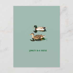 Postal Festiva Mallas de los Ducks
