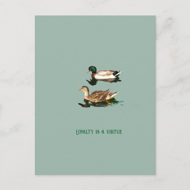 Postal Festiva Mallas de los Ducks (Anverso)