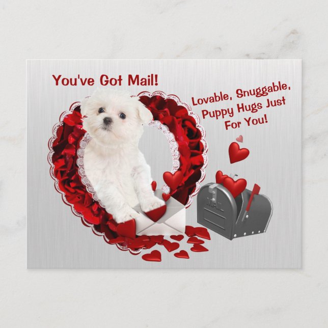 Postal Festiva Maltese Pup You've Got Mail Puppy Hugs Valentine (Anverso)