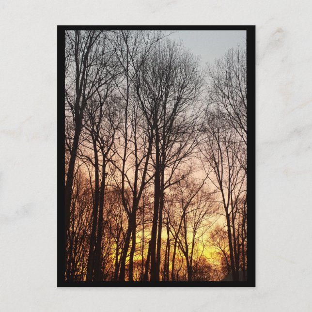 Postal Festiva Mañana Navidades del amanecer en invierno (Anverso)