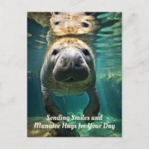 Manatee Marvel: Personalizable Manatee