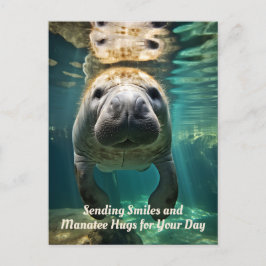Postal Festiva Manatee Marvel: Personalizable Manatee