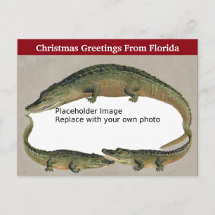 Postal Festiva Marco de ligador de Navidades de Florida de época