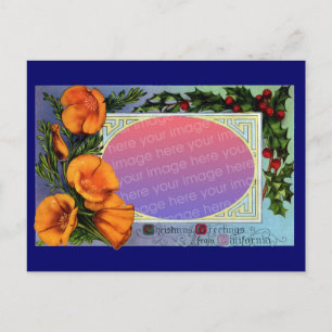 Postal Festiva Marco navideño de adormidera de California