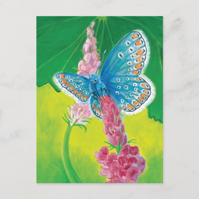 Postal Festiva Mariposa azul Chapmans (tersidades Polyommatus) (Anverso)