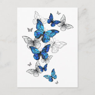 Postal Festiva Mariposas Azules Voladoras Morpho