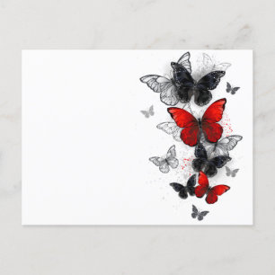 Postal Festiva Mariposas Morpho voladoras negras y rojas