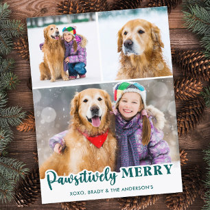 Postal Festiva Mascota Perro 3 Fotos Personalizado Patas Alegres