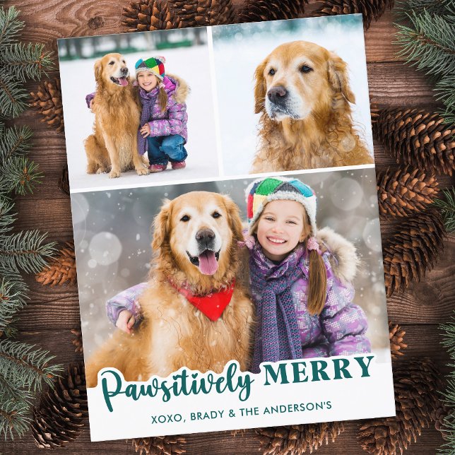 Postal Festiva Mascota Perro 3 Fotos Personalizado Patas Alegres  (Subido por el creador)