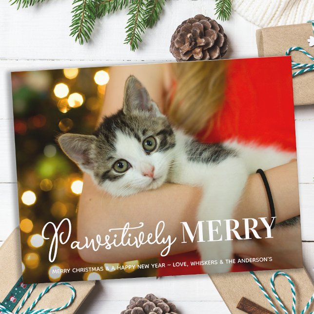Postal Festiva Mascota Personalizado Gato, curiosamente Merry, Na (Subido por el creador)