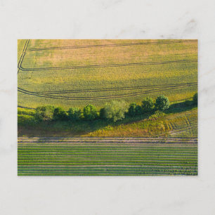 Postal Festiva Matriz de patrones de explotaciones agrícolas en i