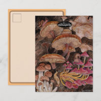 Menagerie of Mushrooms