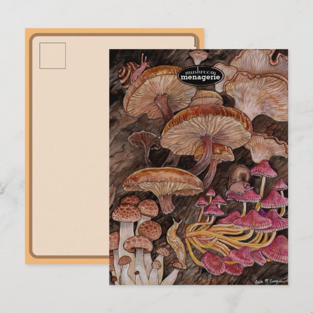 Postal Festiva Menagerie of Mushrooms (Anverso / Reverso)
