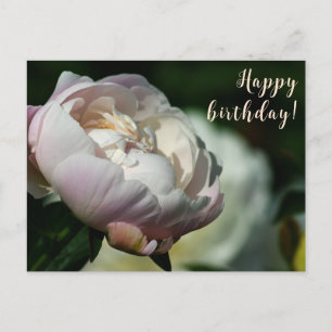 Postal Festiva Menor/Flor Mágica/Flor Blanca/Feliz Cumpleaños/